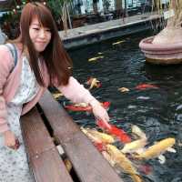 礁溪金車蘭花公園｜與動植物近距離親近🧡慵懶水豚君、愛抓癢大嘴鳥