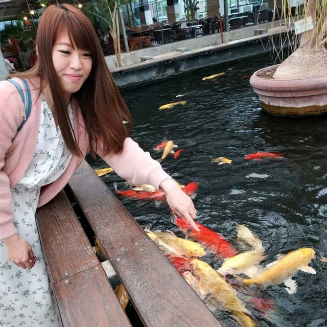 礁溪金車蘭花公園｜與動植物近距離親近🧡慵懶水豚君、愛抓癢大嘴鳥