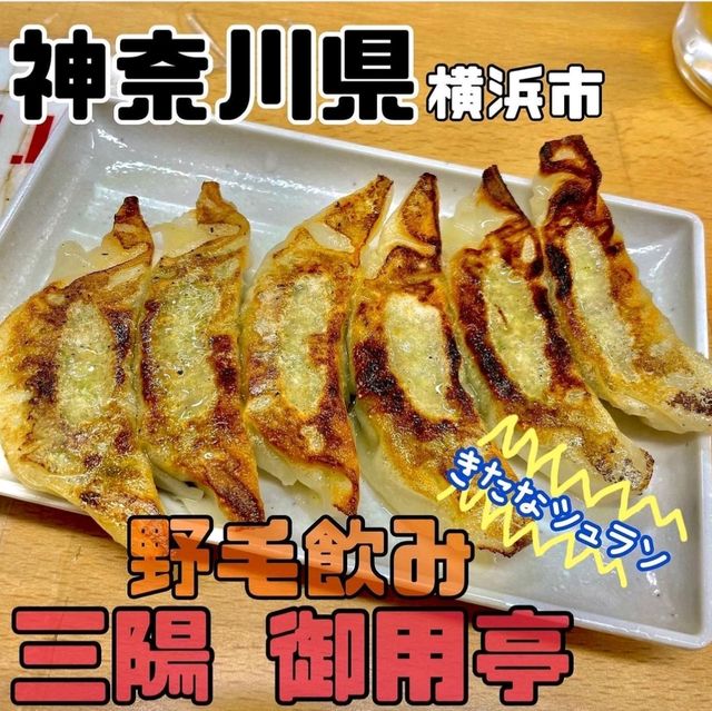 【神奈川県/横浜市】三陽 御用亭