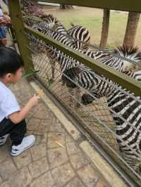 深圳野生動物園：瞬間拉近野生世界與人的距離