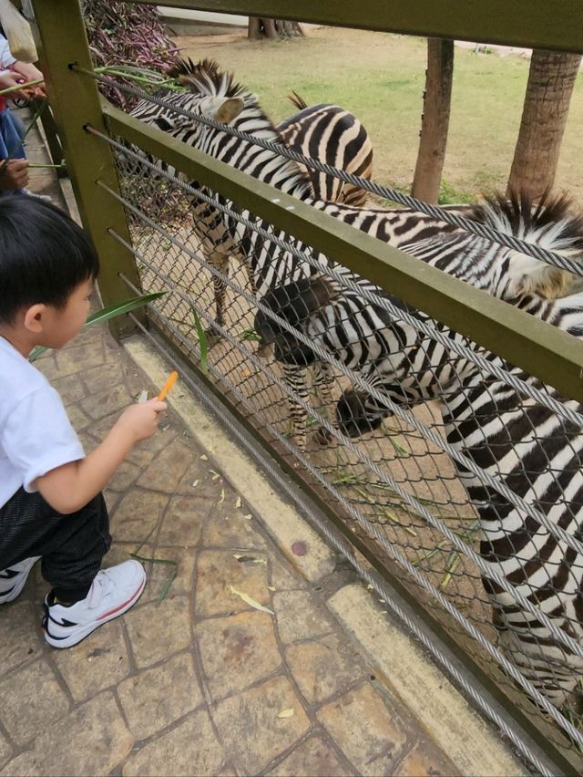 深圳野生動物園：瞬間拉近野生世界與人的距離