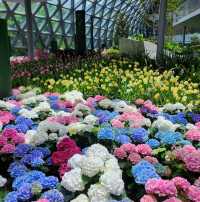 ชมดอกไม้เมืองหนาวที่ระยอง Miracle of Nature 2566