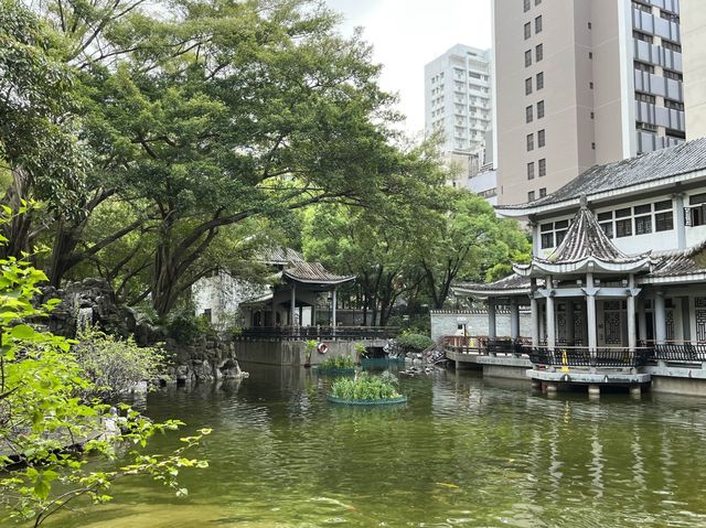 原來荃灣有個咁靚咁似香港嘅公園 🤩