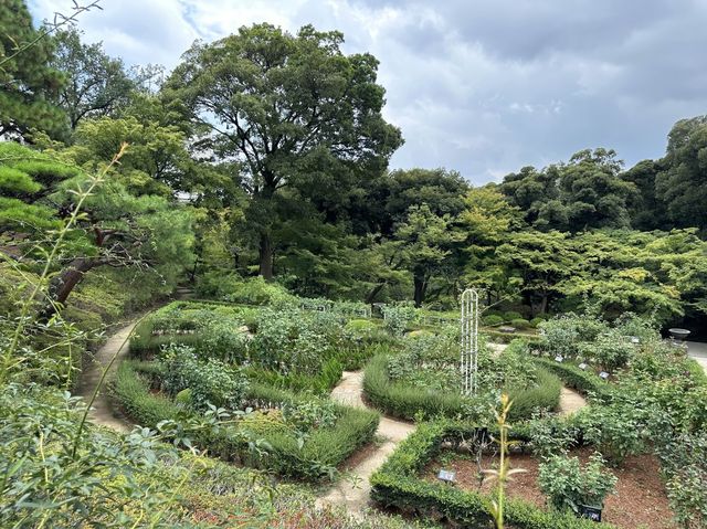 東京・北区。バラの季節には多くの品種の花が咲き誇るそうです『旧古河庭園』
