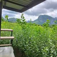 สวนกำนันเทพ