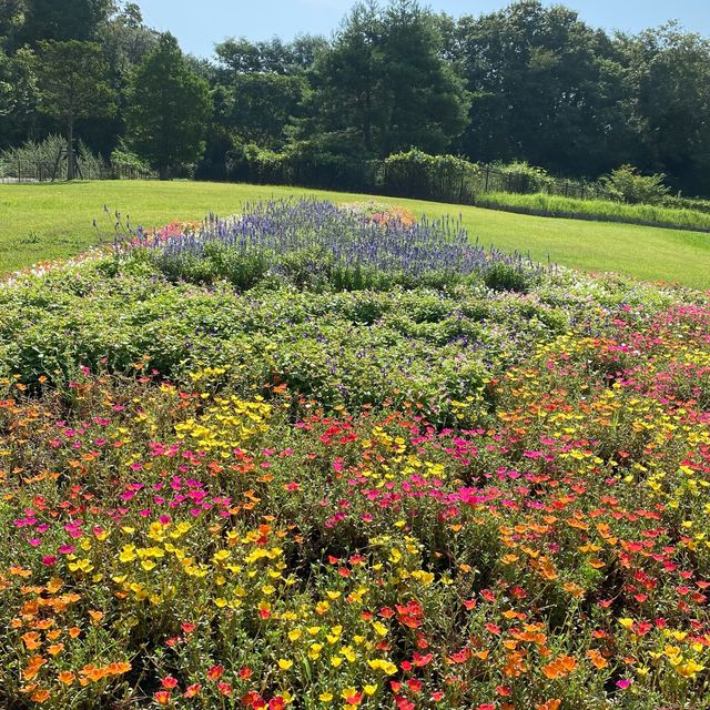 兵庫県立淡路島公園