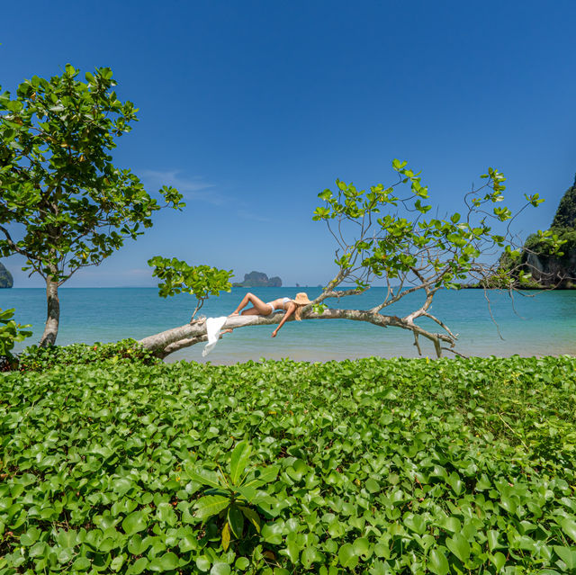 นอนชิลฟีลติดเกาะที่อ่าวต้นไทร กระบี่🏝️