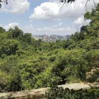 澳門的天空花園：路環山頂公園的自然驚喜 🌳🏞️🌺
