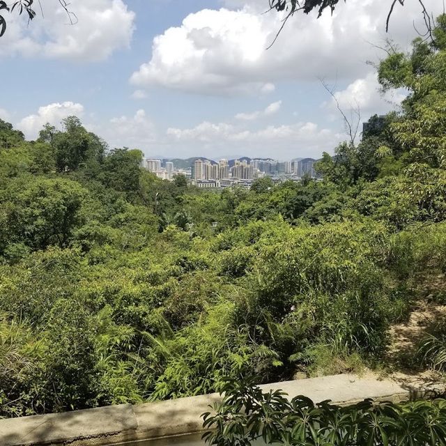 澳門的天空花園：路環山頂公園的自然驚喜 🌳🏞️🌺