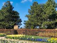 荷蘭🇳🇱盧瑟Lisse·親子好去處🐑🌳庫肯霍夫花園Keukenhof Garden