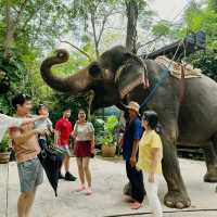 Nakhon Ratchasima Province, a hidden Gem 