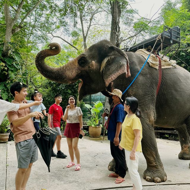 Nakhon Ratchasima Province, a hidden Gem 