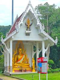 ณ เขาคอหงส์