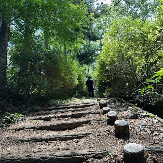 🌄天上山公園🎡絕美富士山🗻