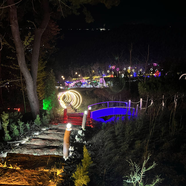 Magic After Dark at Forest of Light Garden