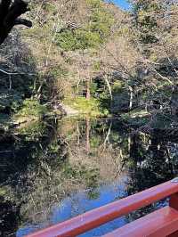 【神奈川県/鶴岡八幡宮】元旦に1度は訪れたい