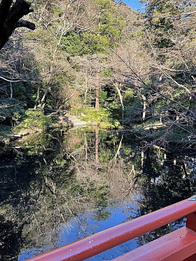 【神奈川県/鶴岡八幡宮】元旦に1度は訪れたい