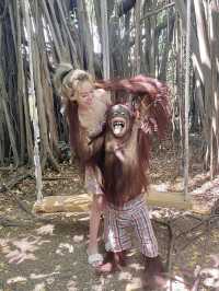 曼谷賽佛瑞動物園Safari World