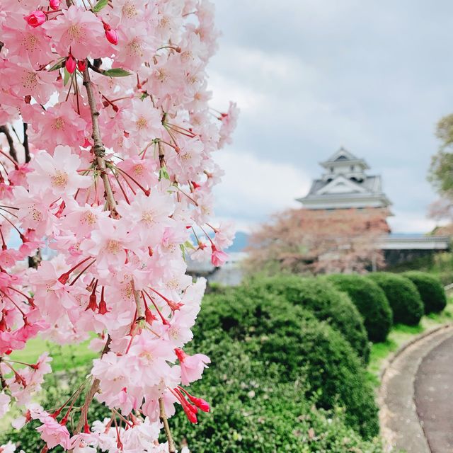 【山形】お城と桜　“上山城“