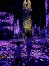 澳門其中一個最火紅的景點😍 #teamLab 無買錯飛～^_^入面好靚又好玩！