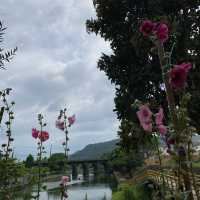 牛欄河步道 🐕 在關西