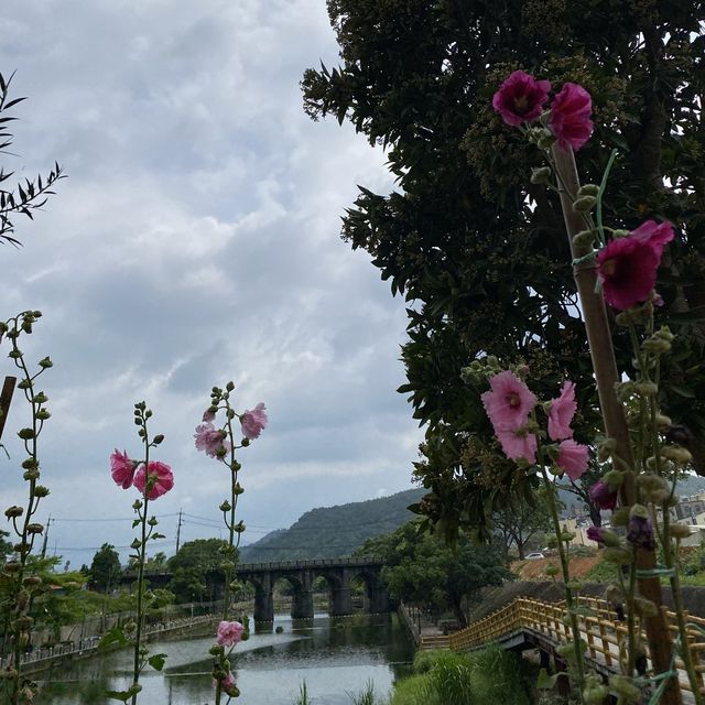 牛欄河步道 🐕 在關西