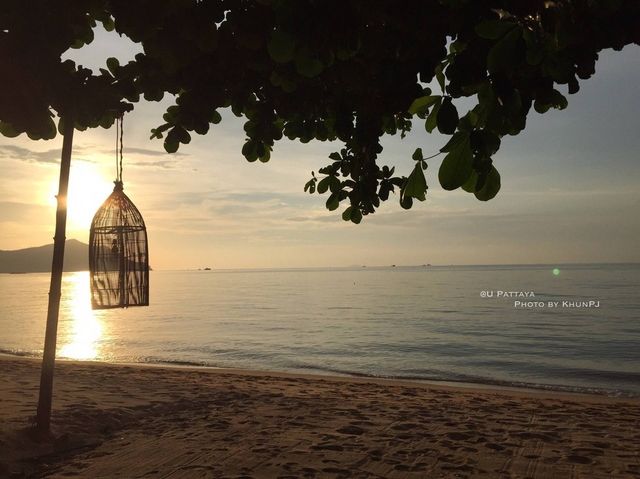 U Pattaya เงียบ บรรยากาศดี แวะมาพักหลายครั้งแล้ว