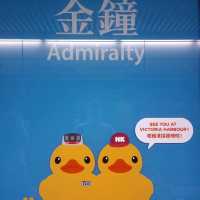 必睇必影 黃色鴨