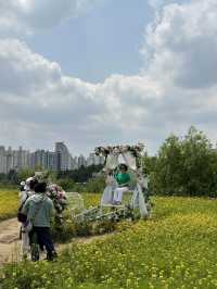 봄에 꼭 가야 할 서울장미축제🥀♥️