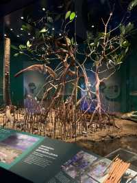 The nth time in the Museum!