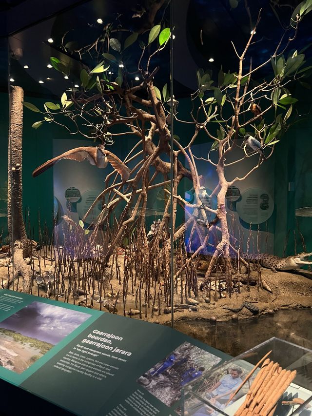 The nth time in the Museum!