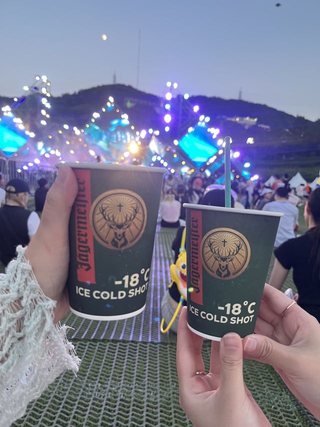 부산 여름을 날려줄 축제