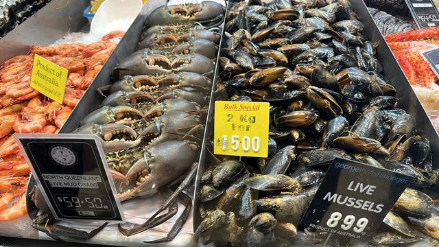 ✨走入海鮮天堂👅任食甜脆澳洲生蠔🦪