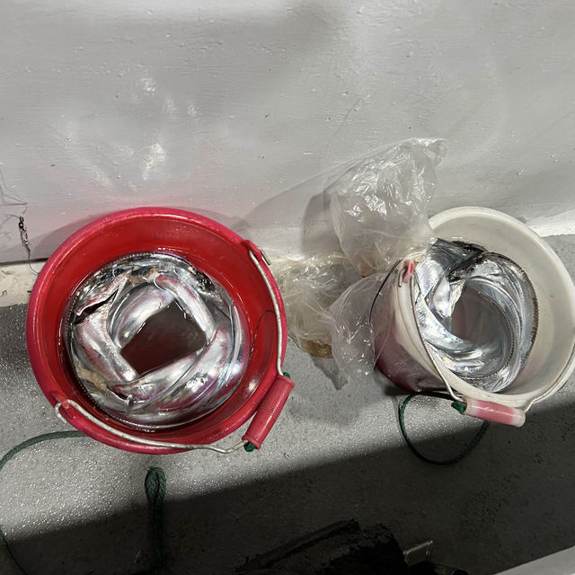 基隆港華倫號夜釣白帶魚