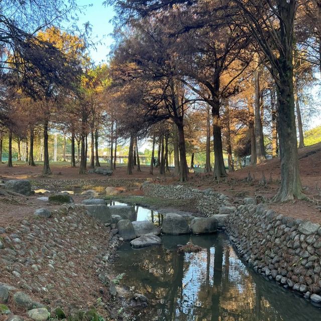 ️🌳🤸羅東運動公園～運動好玩又充滿活力！🏃‍♀️🌳