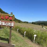 太陽の丘えんがる公園