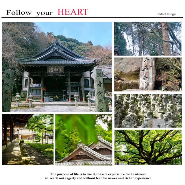 ⛩️🌸 雷山千如寺：靜謐與美麗的禪修之旅 🍃🏯✨
