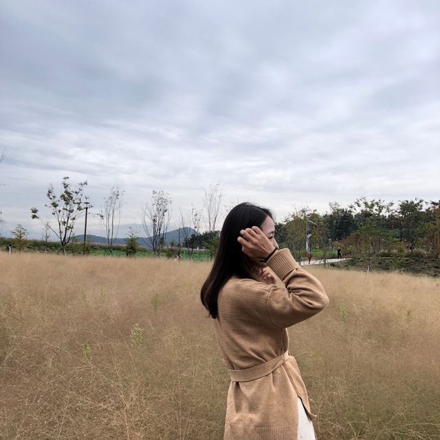 함안 가을여행지 악양생태공원🚶‍♀️🚶‍♂️