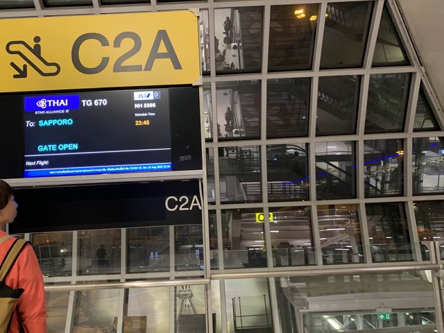 タイ　タイ観光　タイ航空でスワンナプーム国際空港から新千歳空港へ深夜フライトが快適だった！