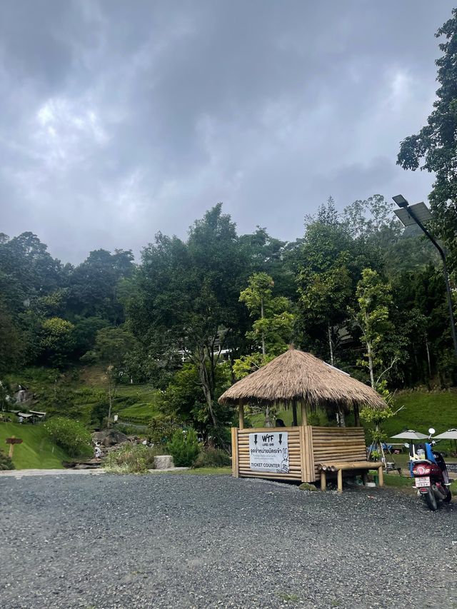wtf cafe’ camp 🏕️🌳