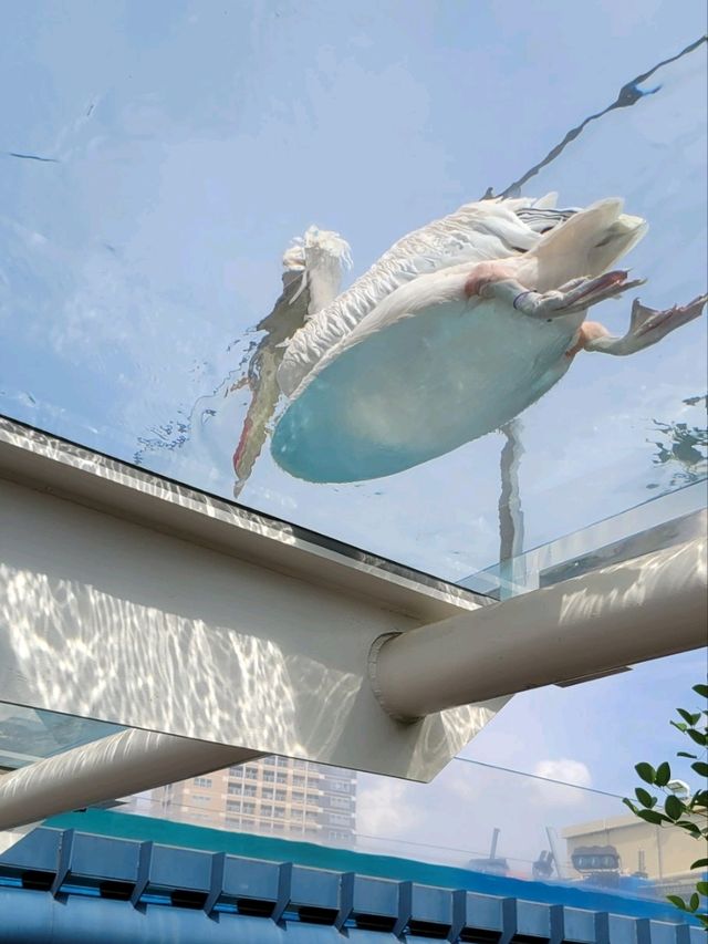 「池袋」サンシャイン水族館
