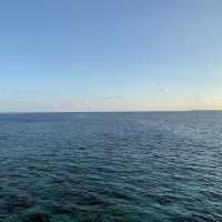 Whale Bar, St Regis Maldives