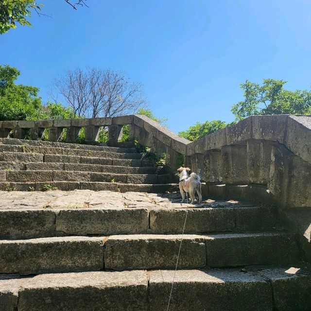 목포여행, 애견동반도 가능한 유달산 ⛰️ (목포 케이블카)