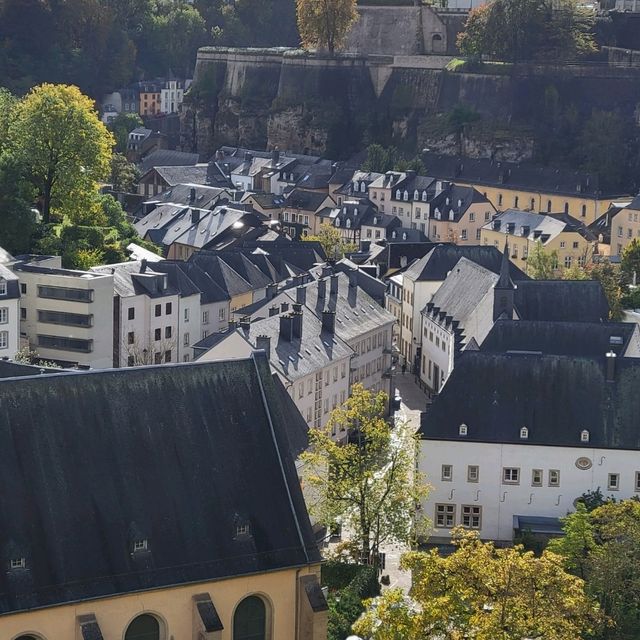 FREE public transportation in Luxembourg