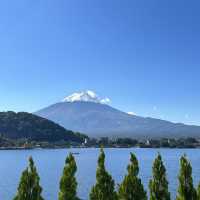 Fuji-san in falling season