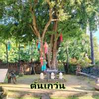 พาไปเที่ยววัดอินทราวาส (วัดต้นเกว๋น)