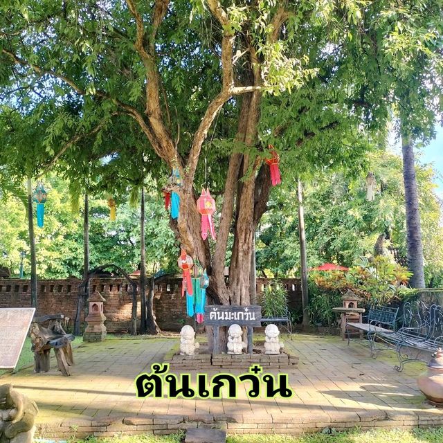 พาไปเที่ยววัดอินทราวาส (วัดต้นเกว๋น)