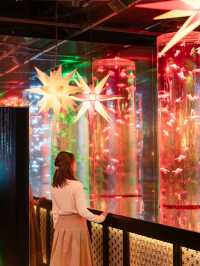 【東京都/銀座】期間限定の星降る銀座のクリスマス