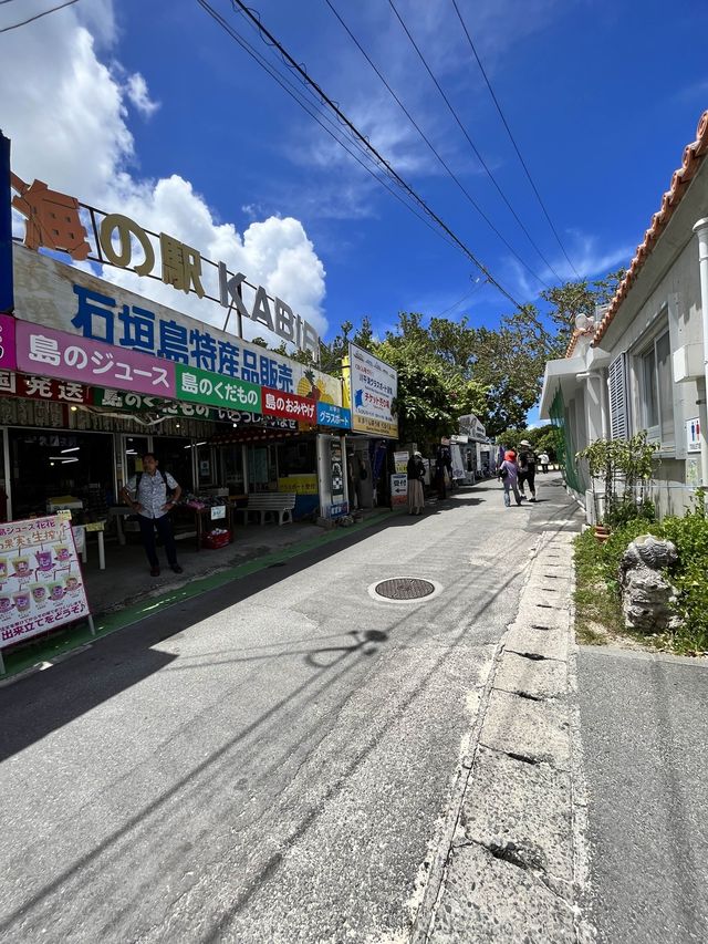 日本百景にも選ばれる南国の国立公園で過ごすひととき