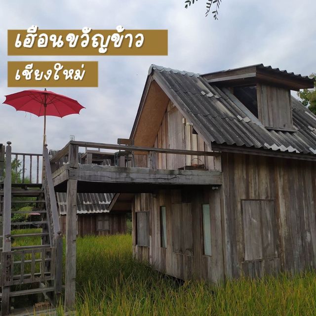 📍“เฮือนขวัญข้าว“ ที่พักริมนา ราคาสบายกระเป๋า